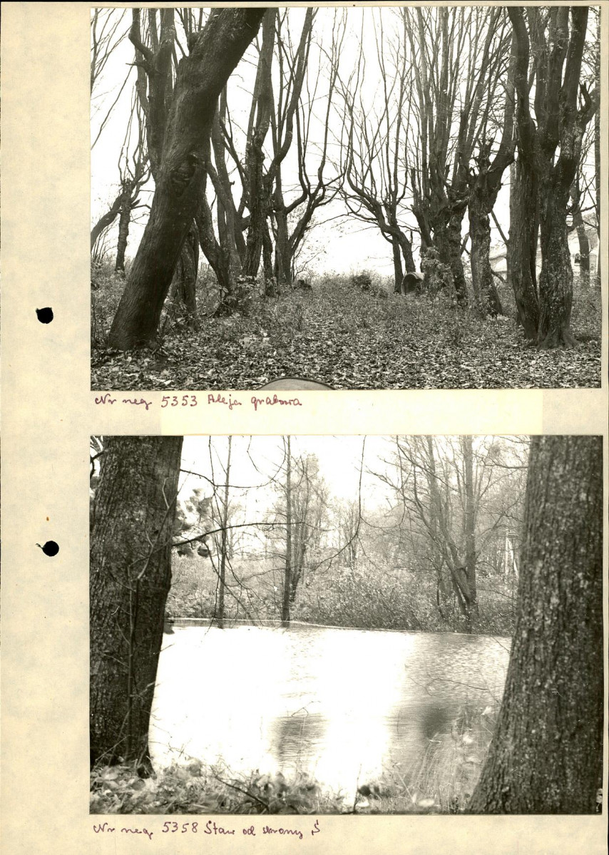 Ewidencja parkowa, skan nr 11