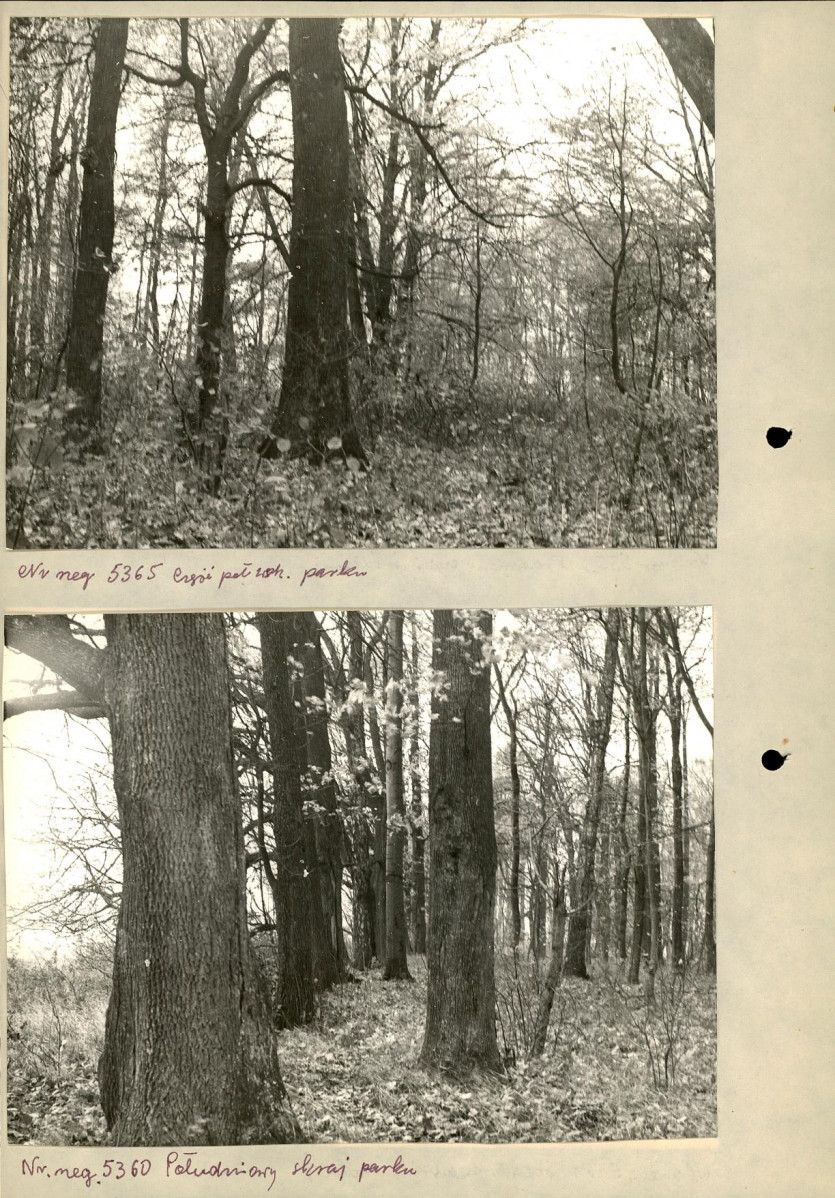 Ewidencja parkowa, skan nr 14