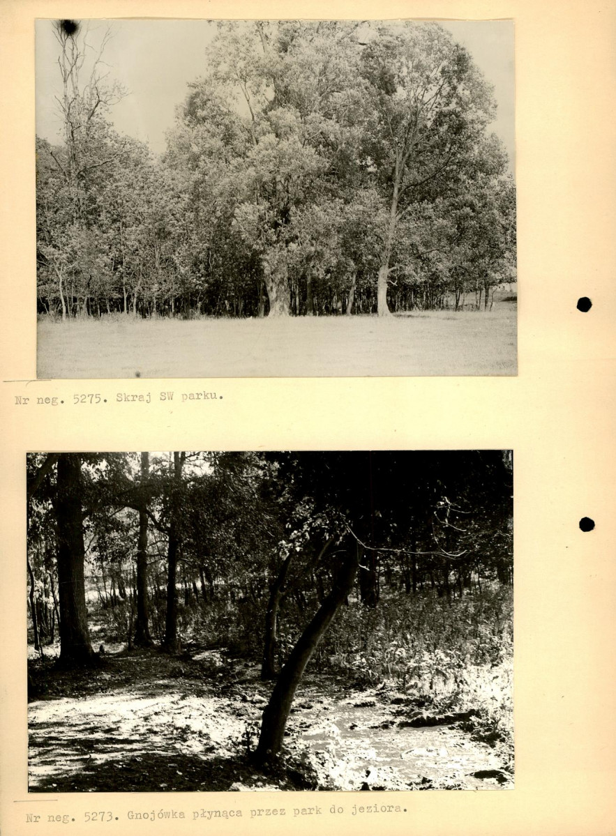 Ewidencja parkowa, skan nr 14