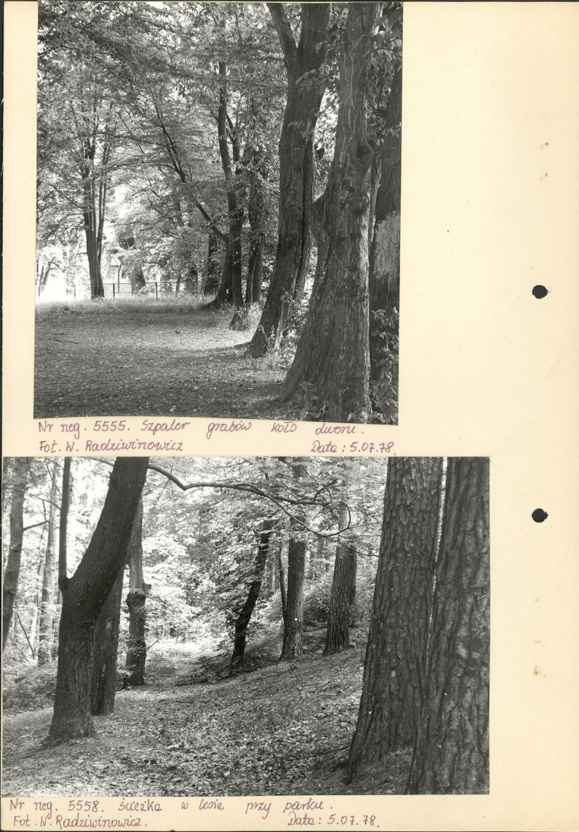 Ewidencja parkowa, skan nr 10
