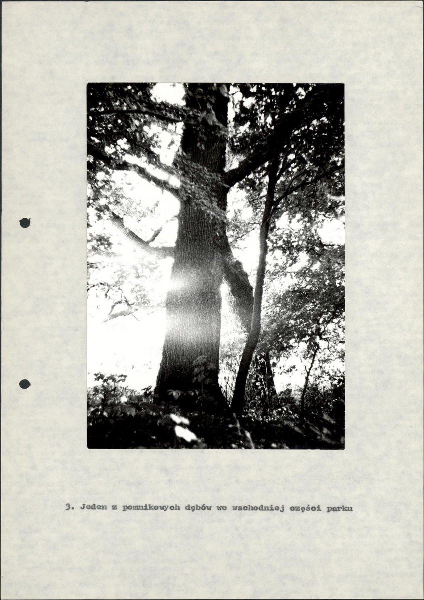 Ewidencja parkowa, skan nr 34