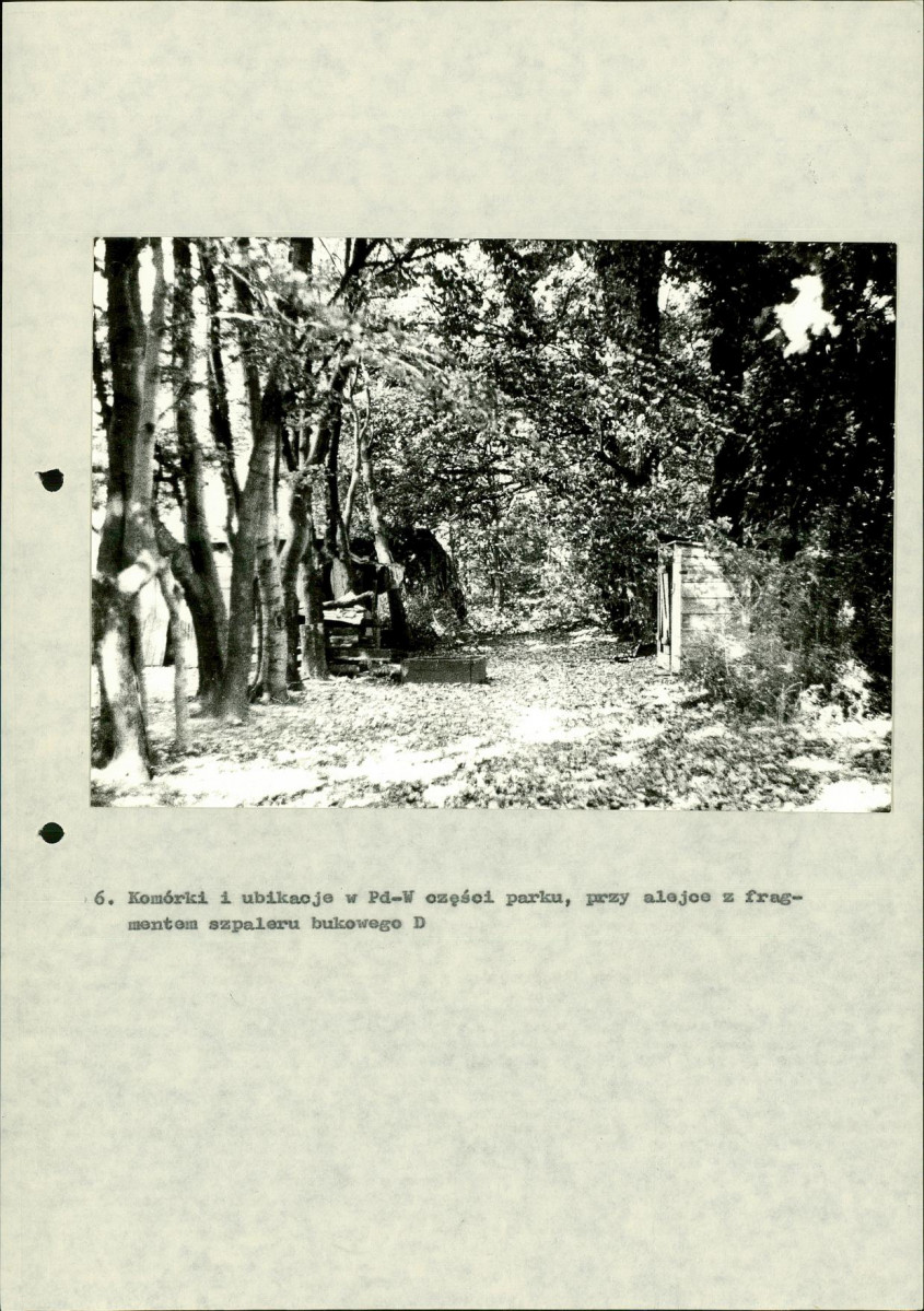 Ewidencja parkowa, skan nr 37