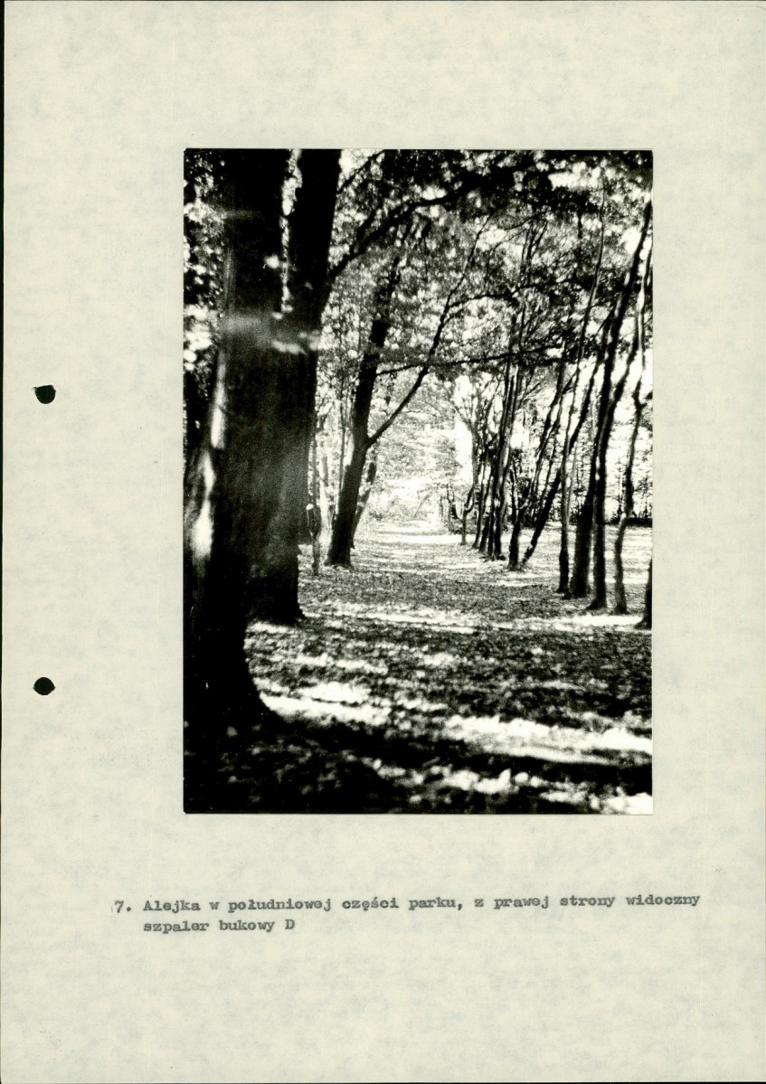 Ewidencja parkowa, skan nr 38