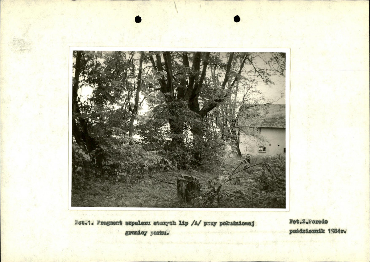 Ewidencja parkowa, skan nr 16