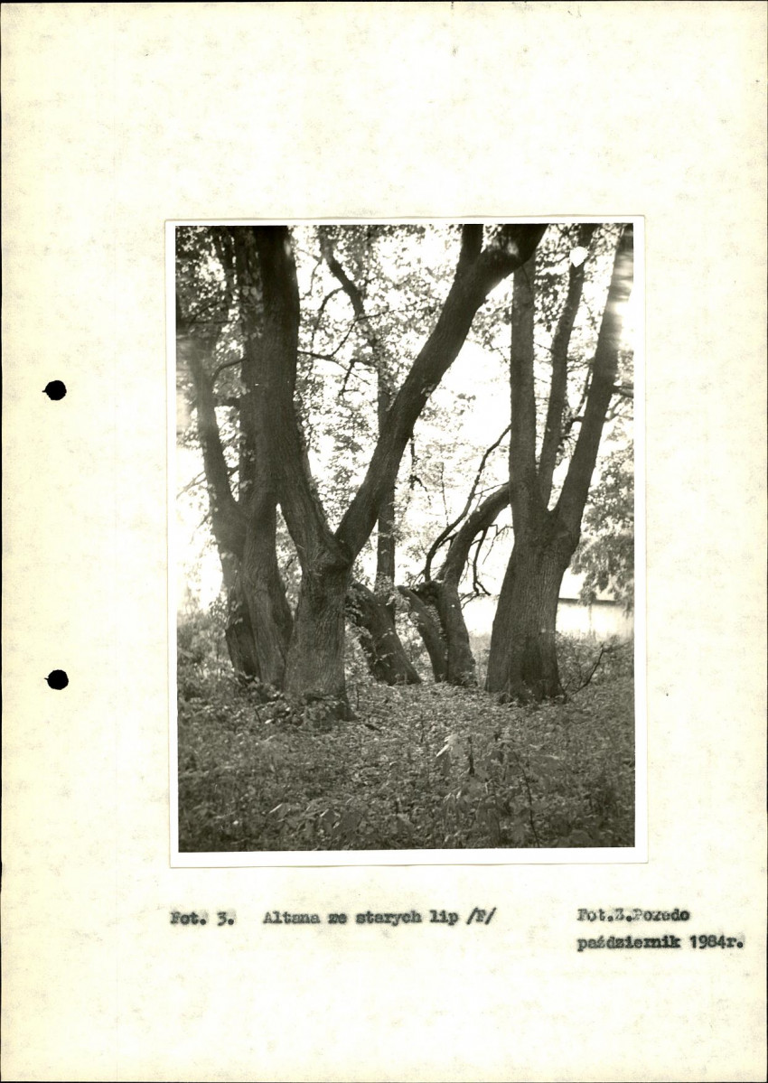 Ewidencja parkowa, skan nr 18