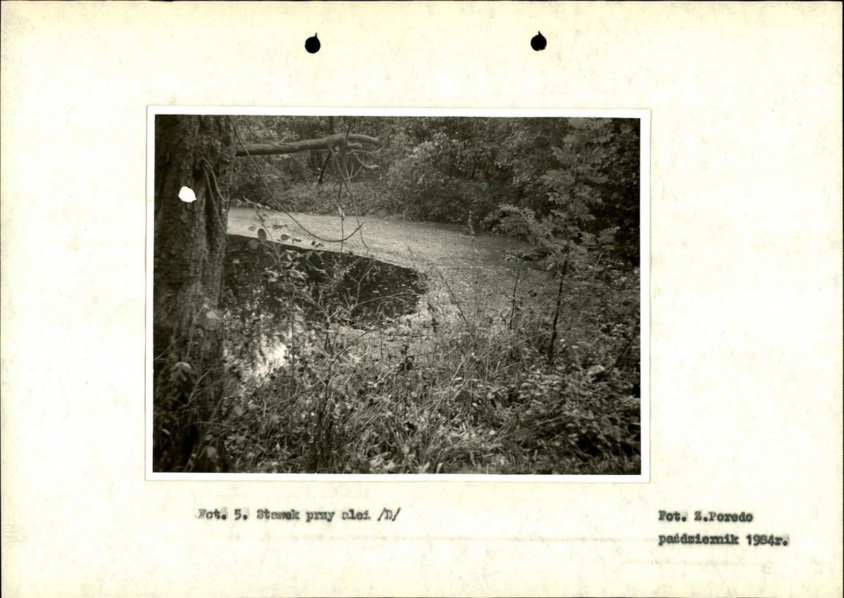 Ewidencja parkowa, skan nr 20