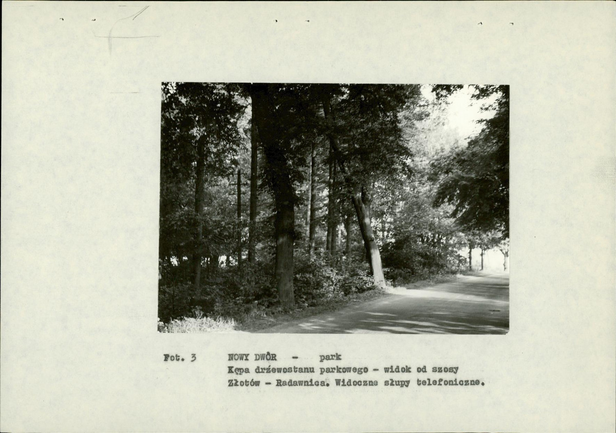 Ewidencja parkowa, skan nr 16
