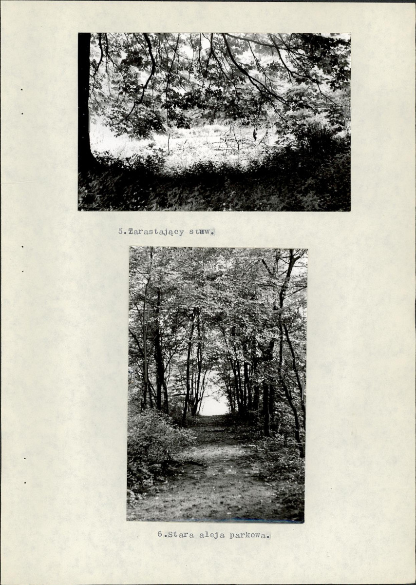 EP - Ewidencja parkowa, skan nr 16