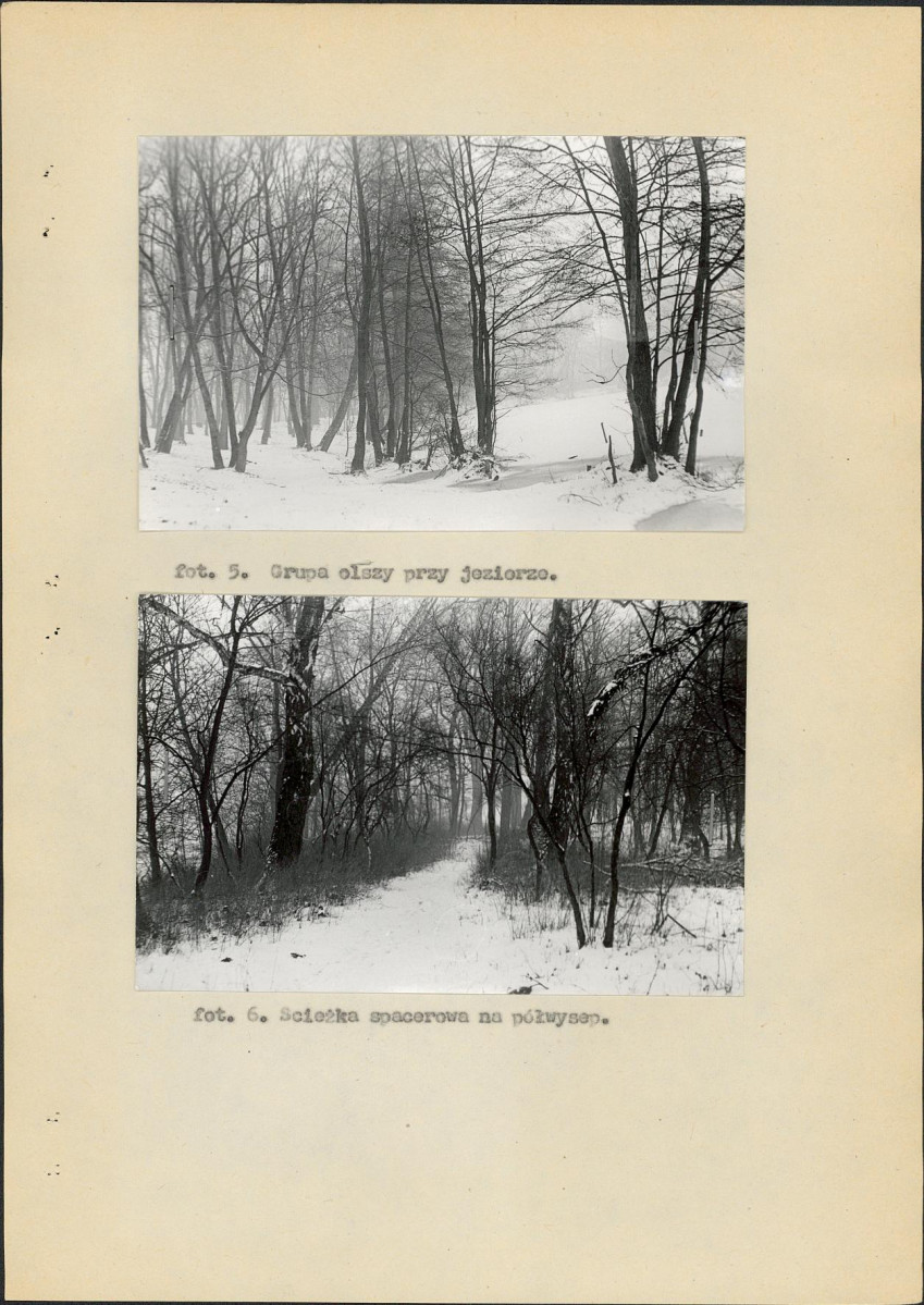 Ewidencja parkowa, skan nr 30