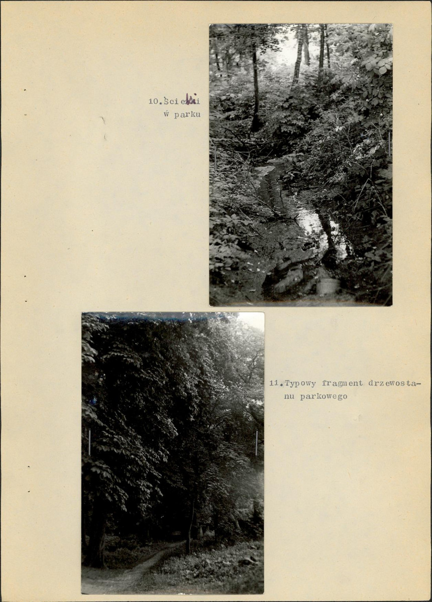 EP - Ewidencja parkowa, skan nr 17