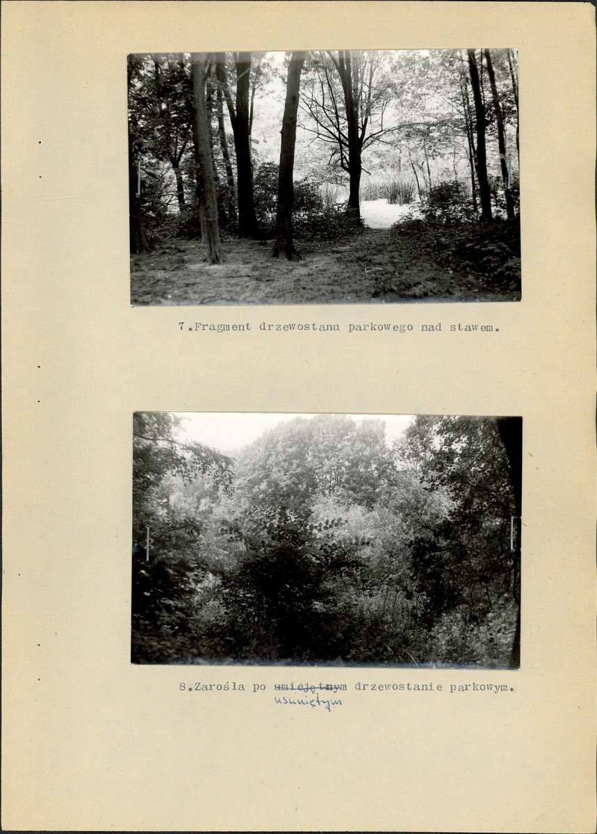 EP - Ewidencja parkowa, skan nr 17