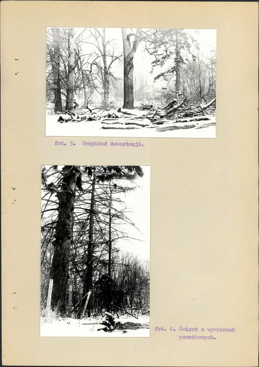 Ewidencja parkowa, skan nr 28