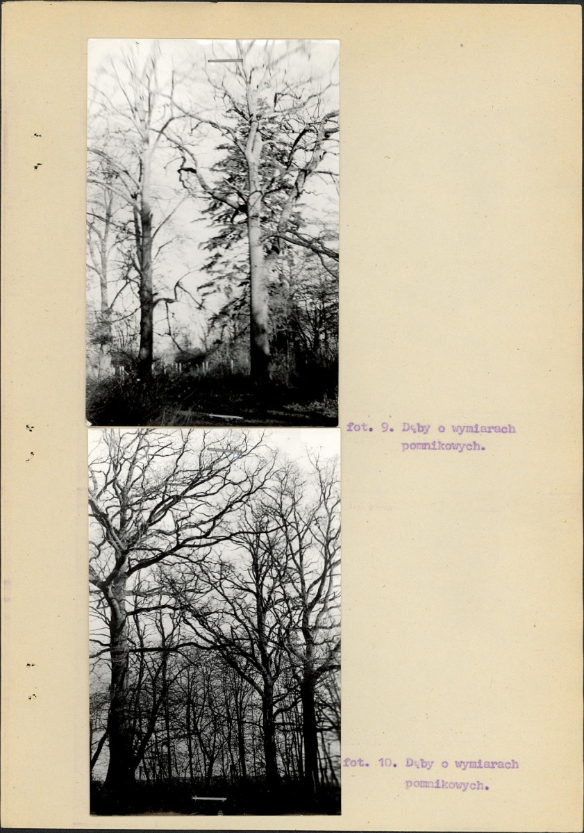 Ewidencja parkowa, skan nr 30