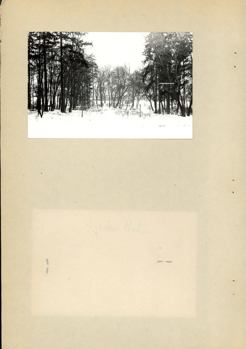 EP - Ewidencja parkowa, skan nr 27