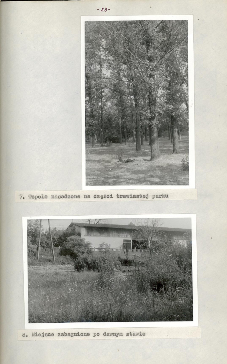 Ewidencja parkowa, skan nr 29