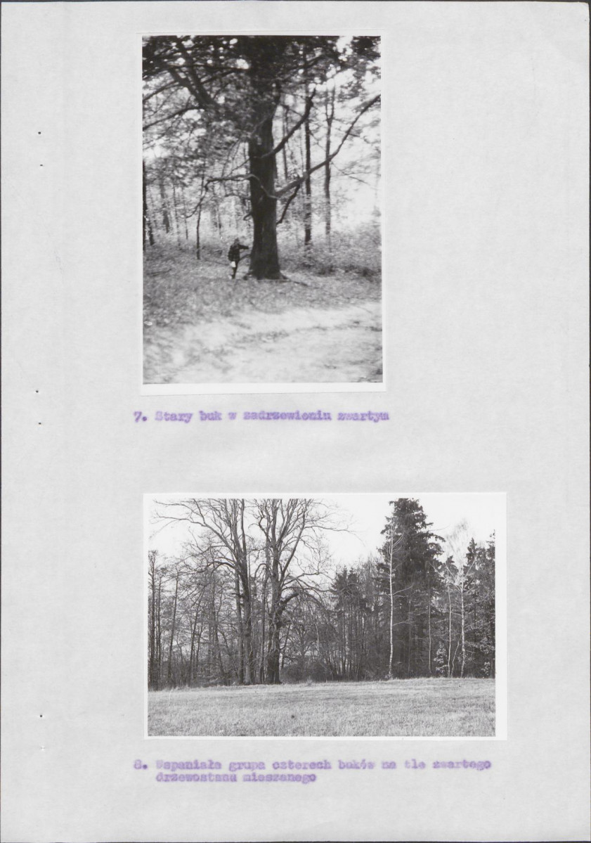 Ewidencja parkowa, skan nr 14