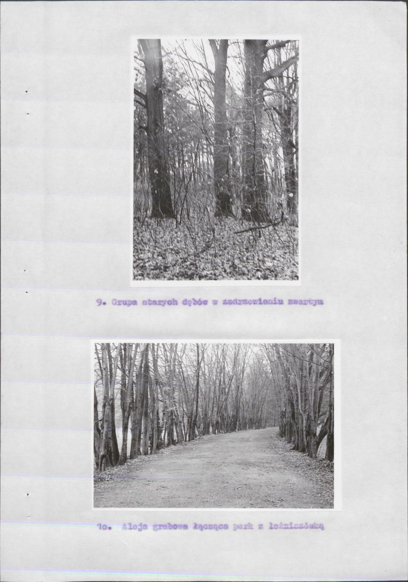 Ewidencja parkowa, skan nr 15