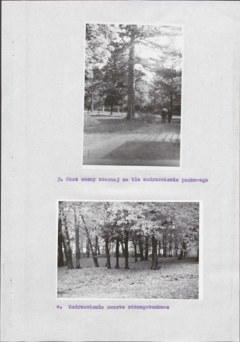Ewidencja parkowa, skan nr 10