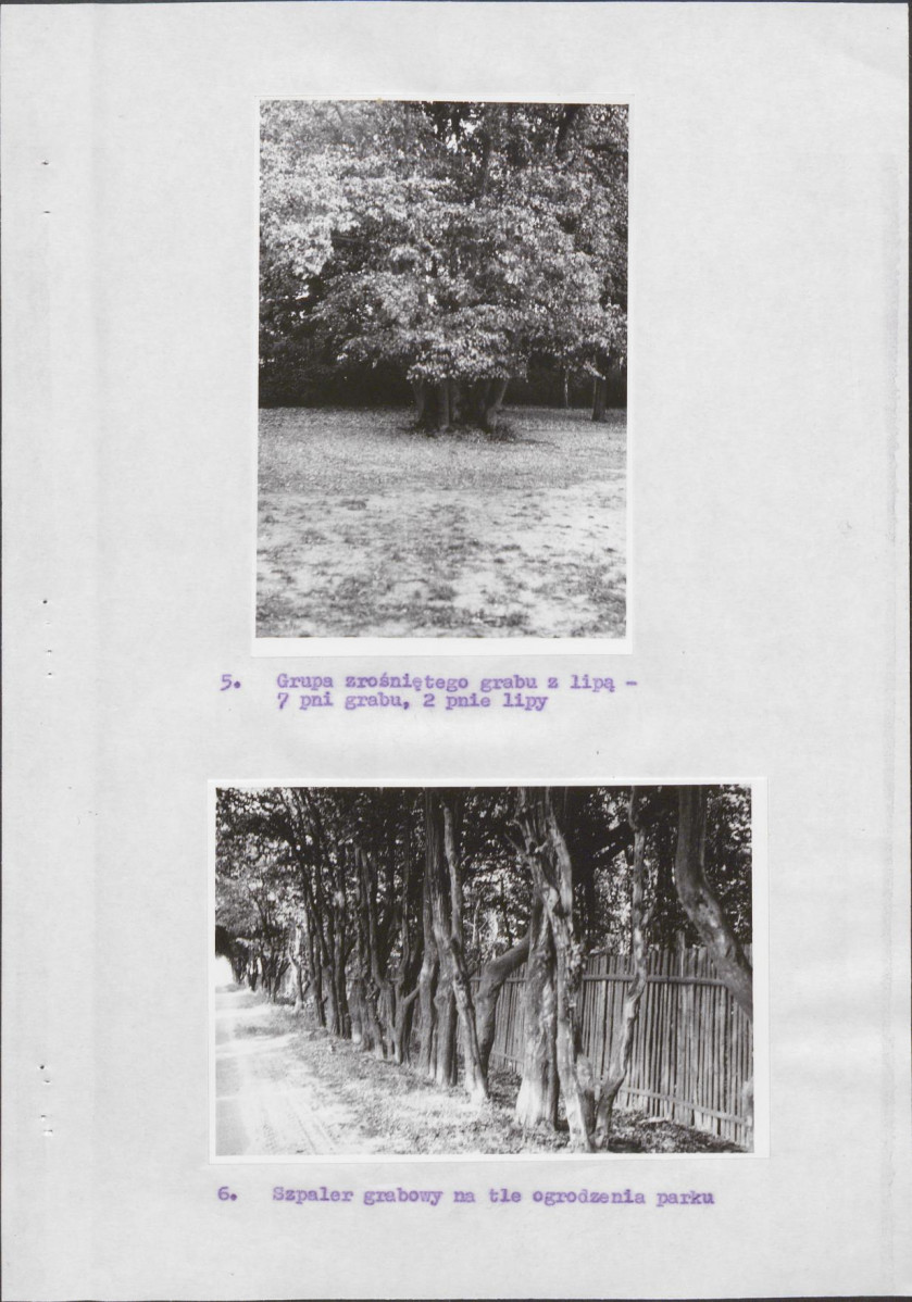 Ewidencja parkowa, skan nr 11