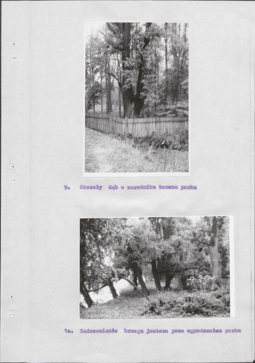 Ewidencja parkowa, skan nr 13