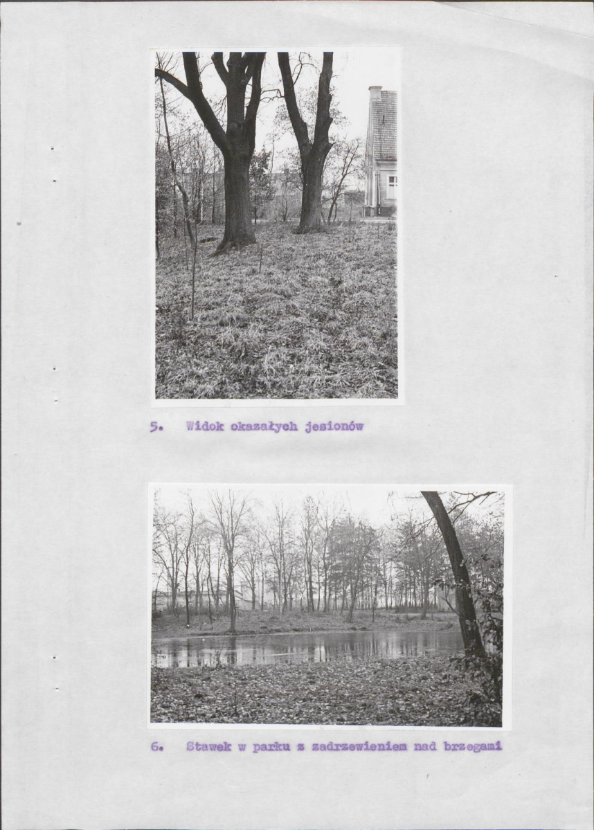 Ewidencja parkowa, skan nr 11
