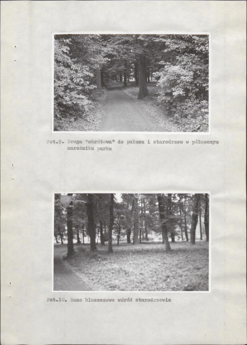 Ewidencja parkowa, skan nr 28
