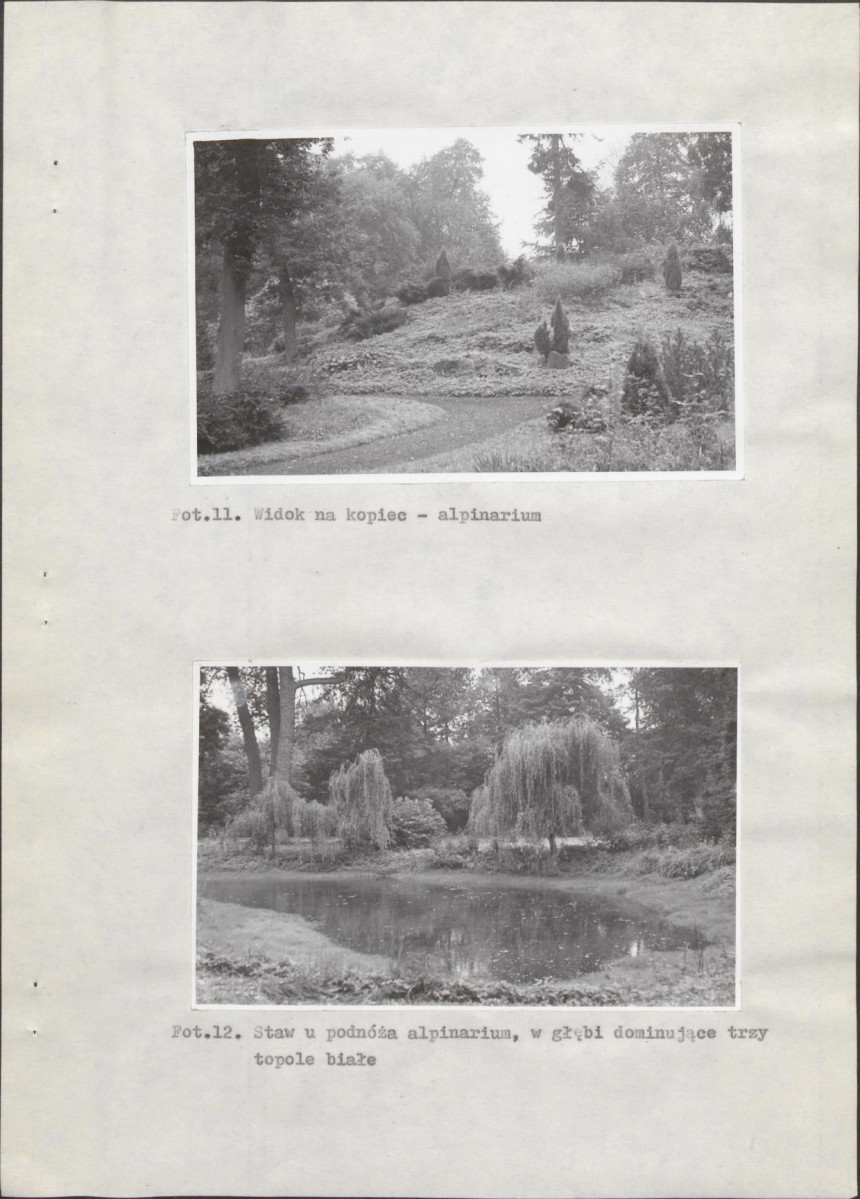 Ewidencja parkowa, skan nr 29
