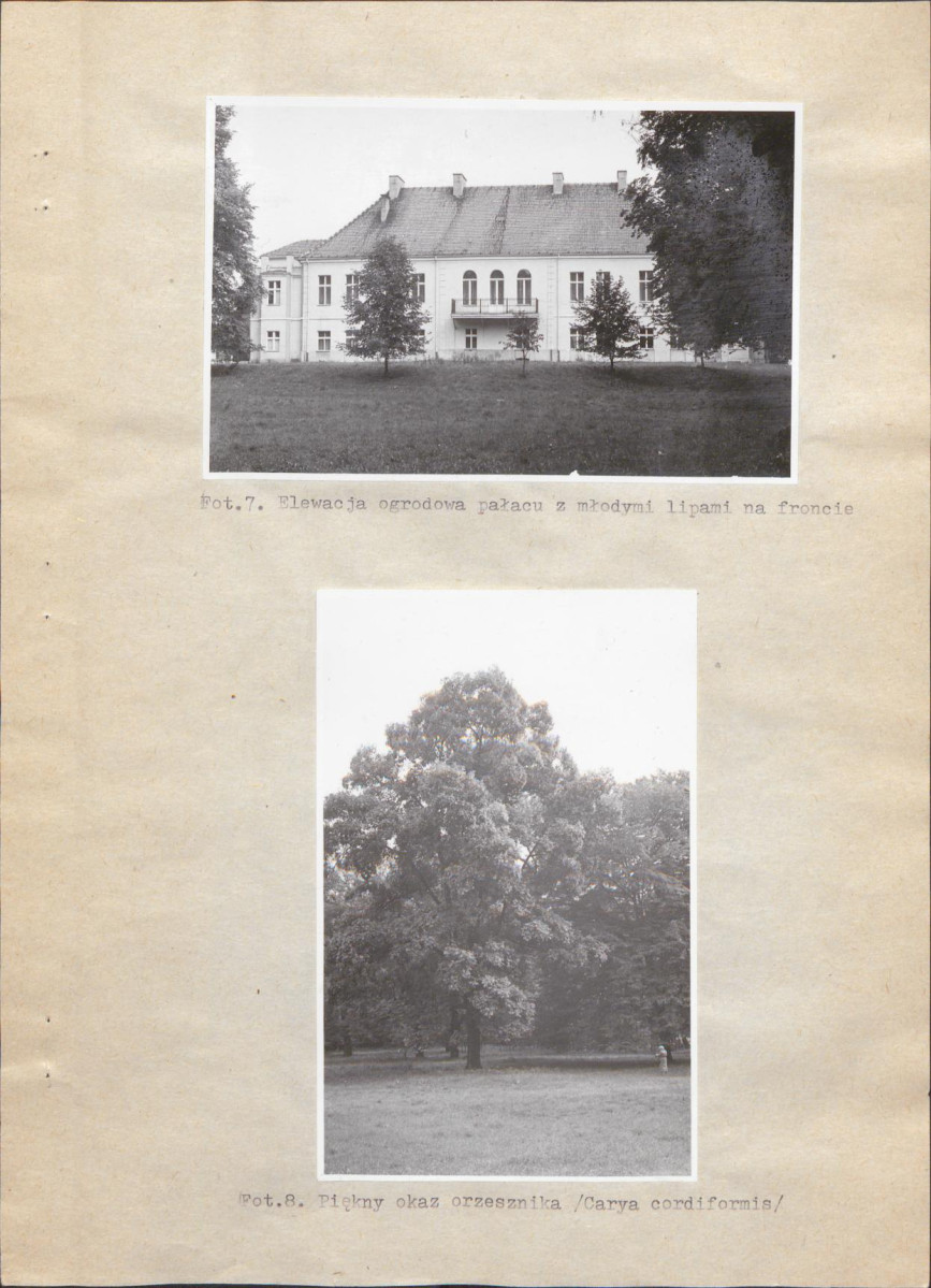 EP - Ewidencja parkowa, skan nr 31
