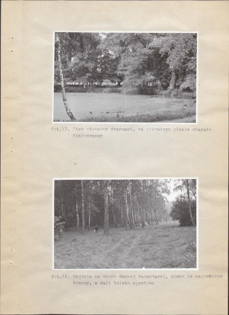 EP - Ewidencja parkowa, skan nr 34