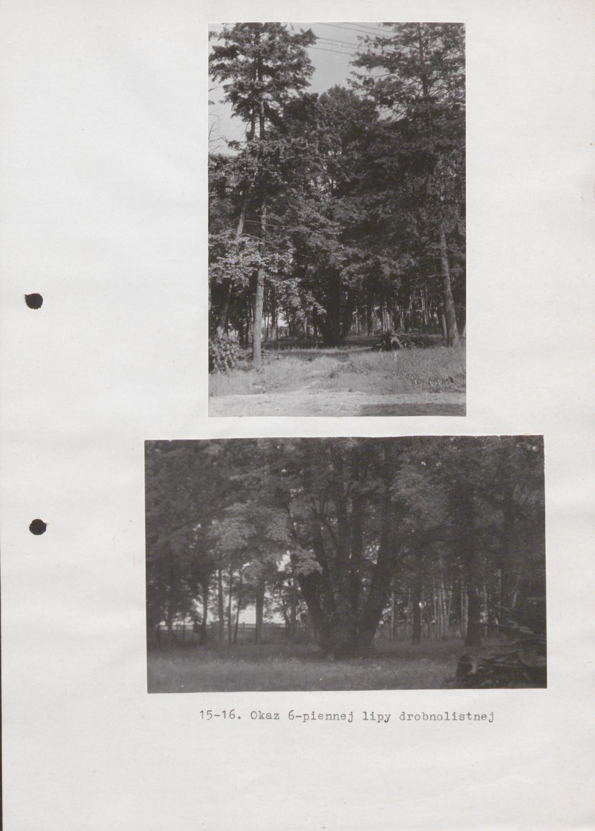 EP - Ewidencja parkowa, skan nr 35