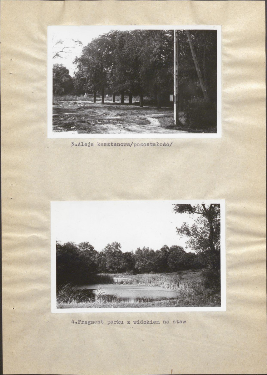 Ewidencja parkowa, skan nr 20