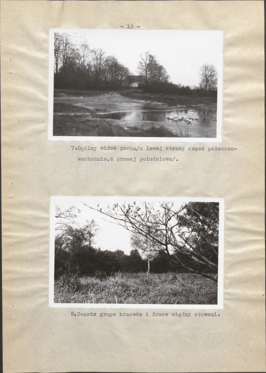 Ewidencja parkowa, skan nr 22