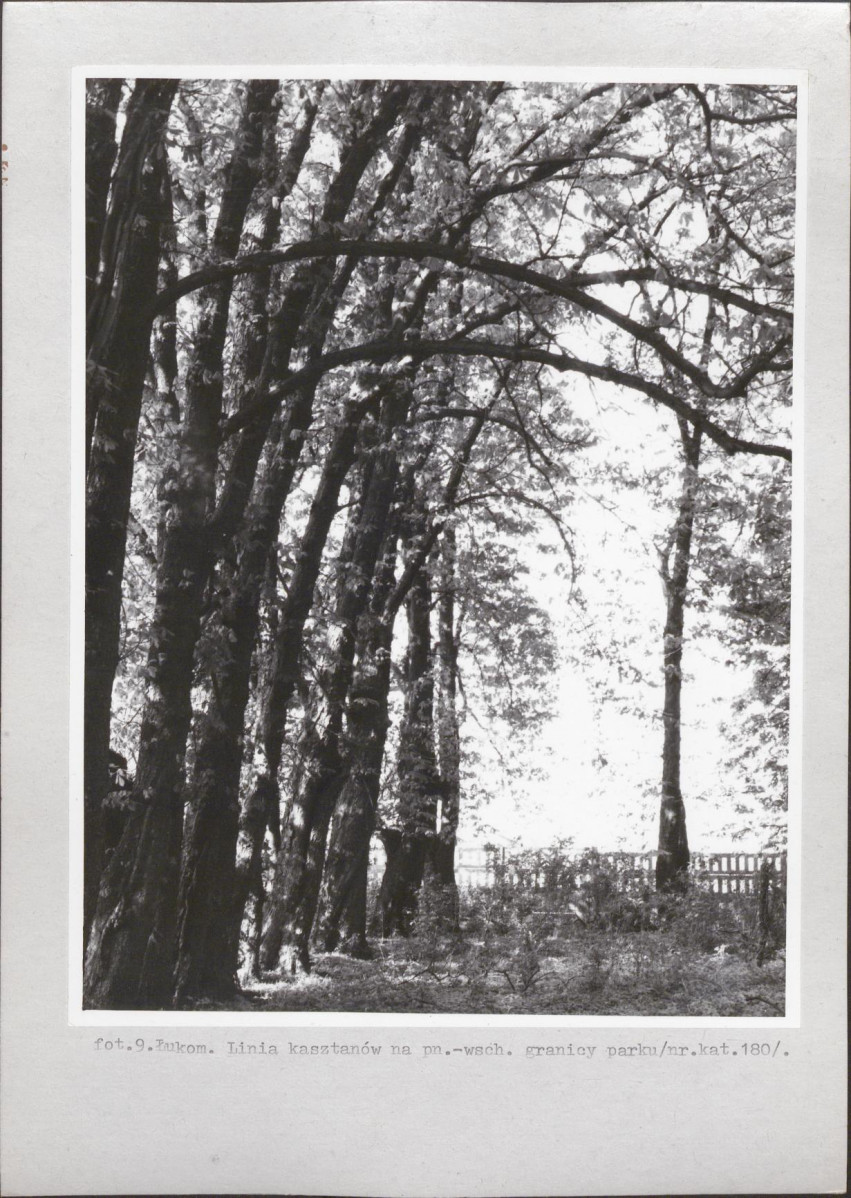 Ewidencja parkowa, skan nr 36