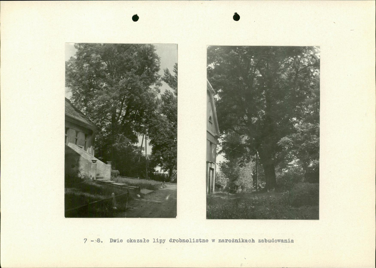 EP - Ewidencja parkowa, skan nr 26