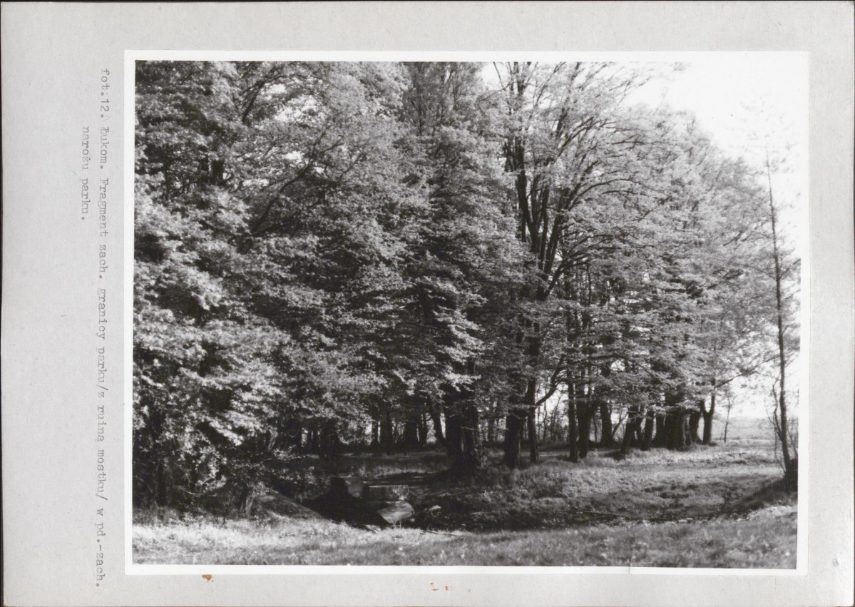 Ewidencja parkowa, skan nr 39