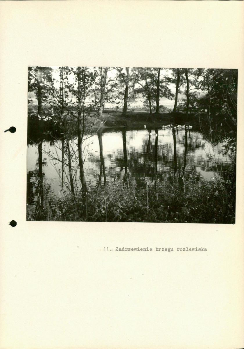 EP - Ewidencja parkowa, skan nr 28