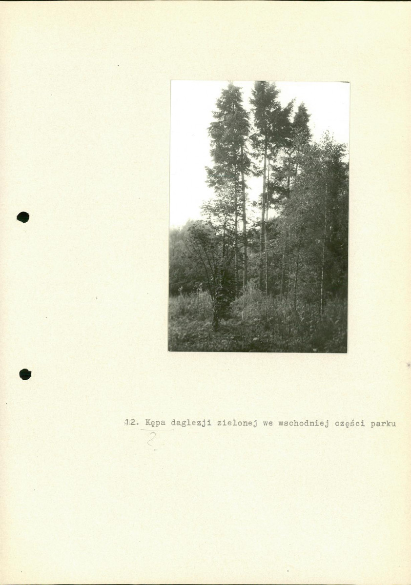 EP - Ewidencja parkowa, skan nr 29