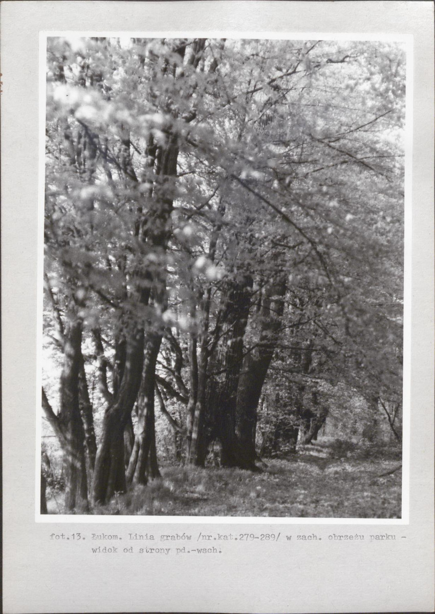 Ewidencja parkowa, skan nr 40