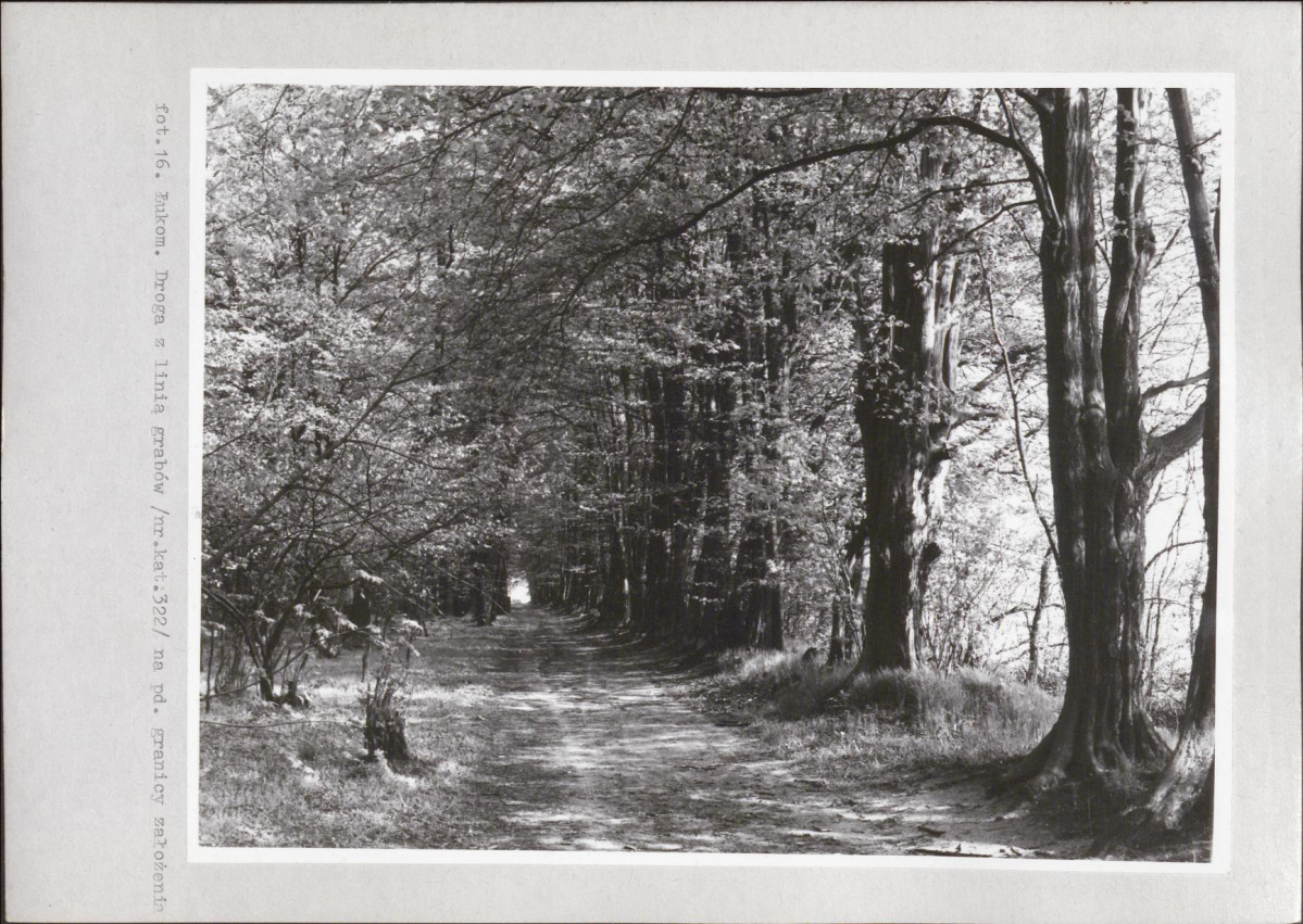 Ewidencja parkowa, skan nr 43