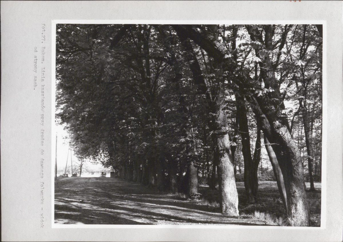 Ewidencja parkowa, skan nr 54