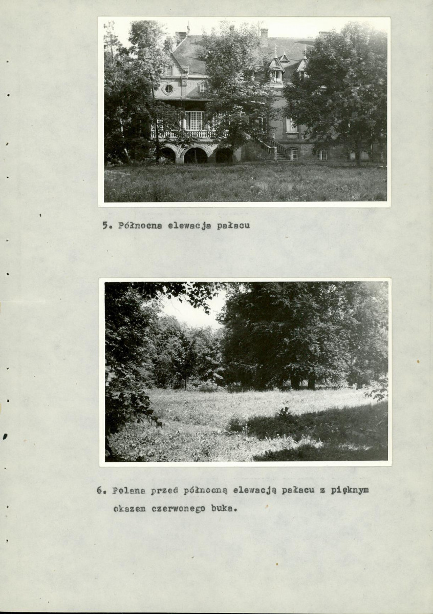 Ewidencja parkowa, skan nr 39