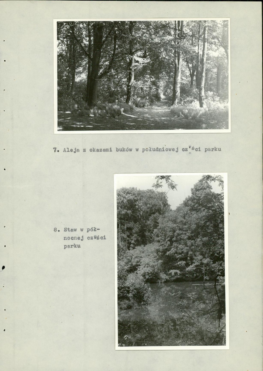 Ewidencja parkowa, skan nr 40