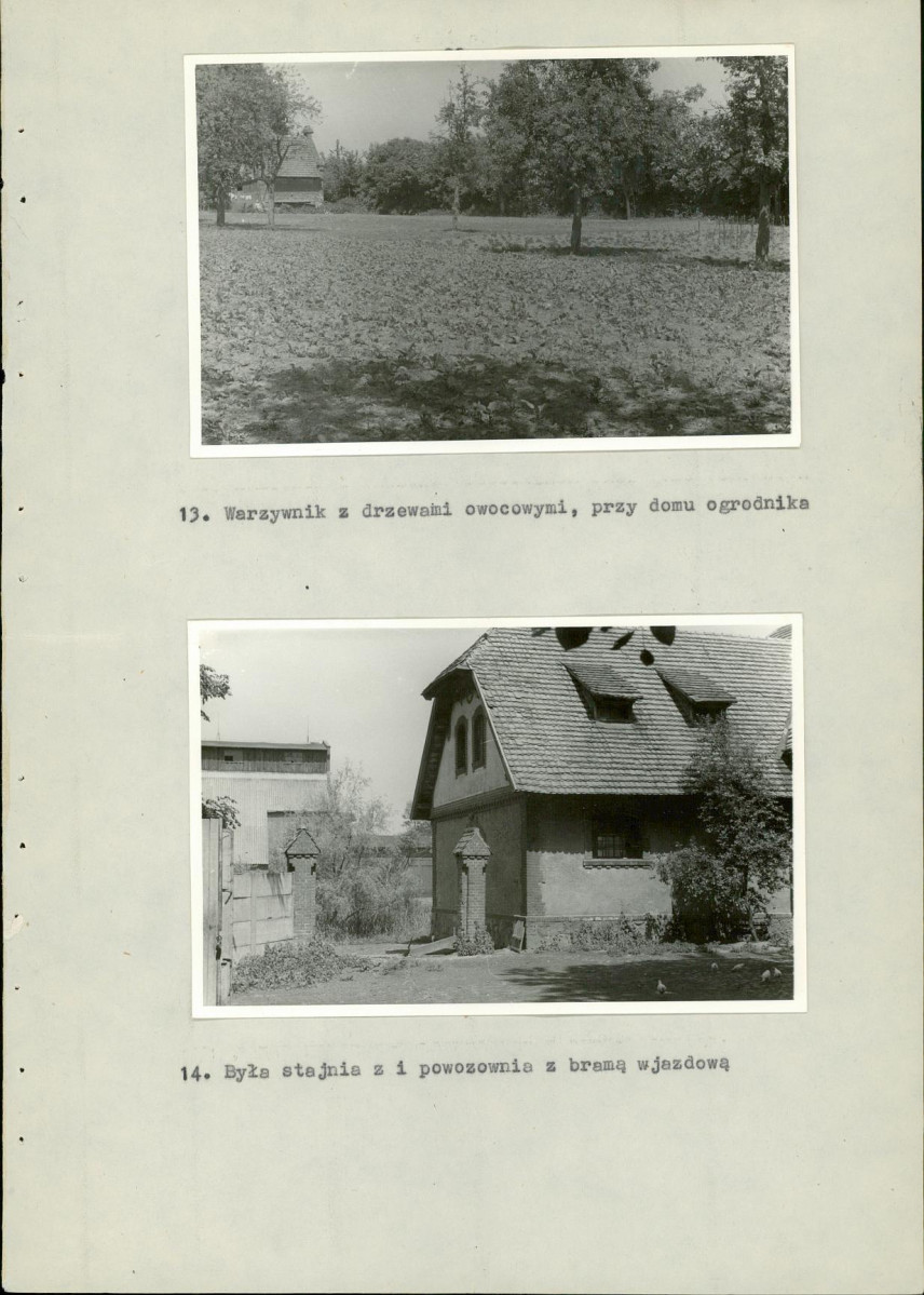 Ewidencja parkowa, skan nr 43