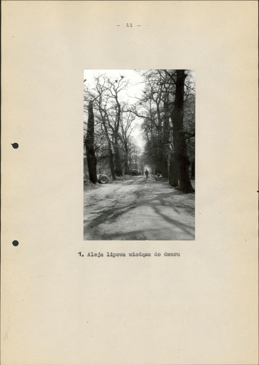 EP - Ewidencja parkowa, skan nr 31