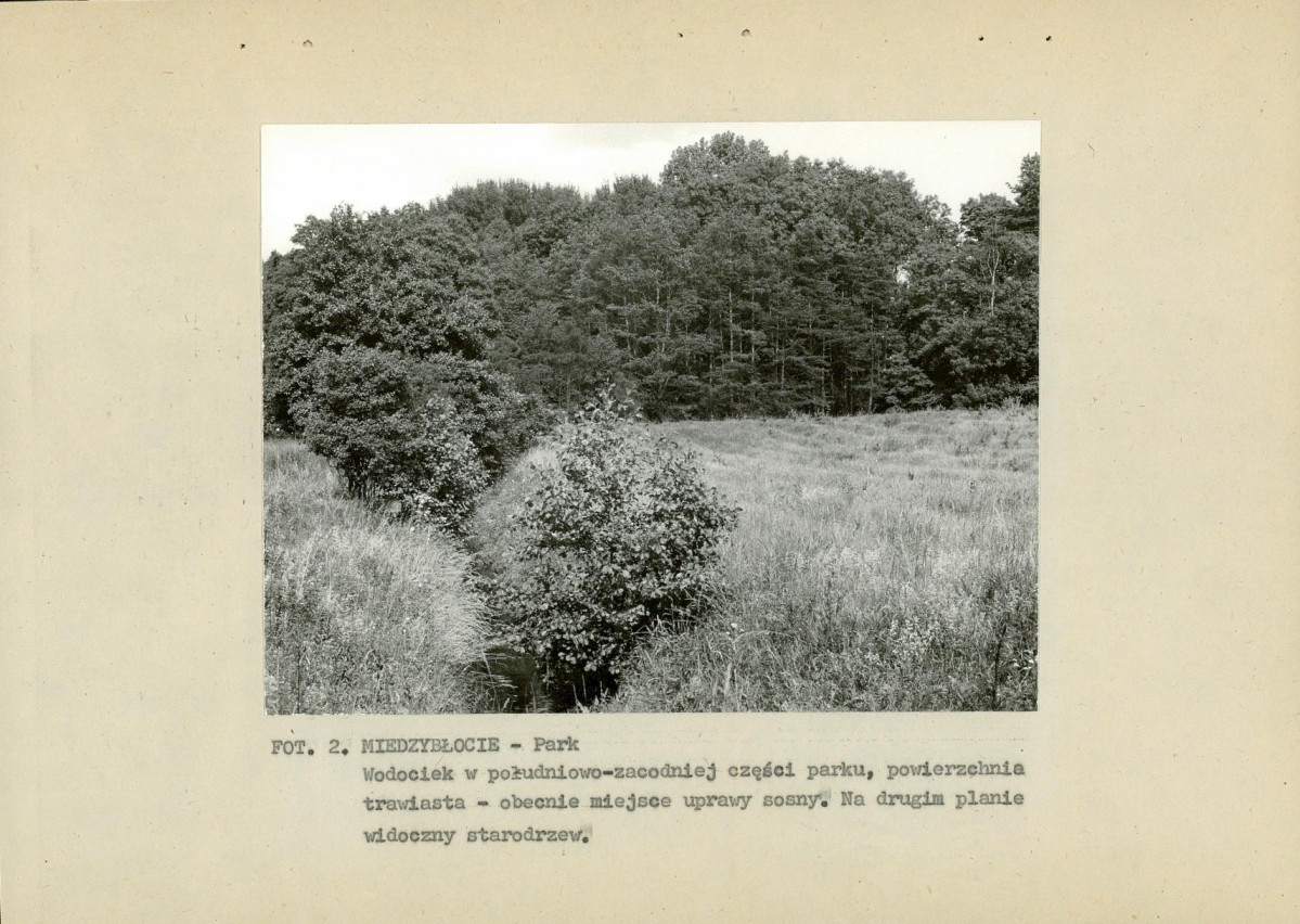 Ewidencja parkowa, skan nr 17