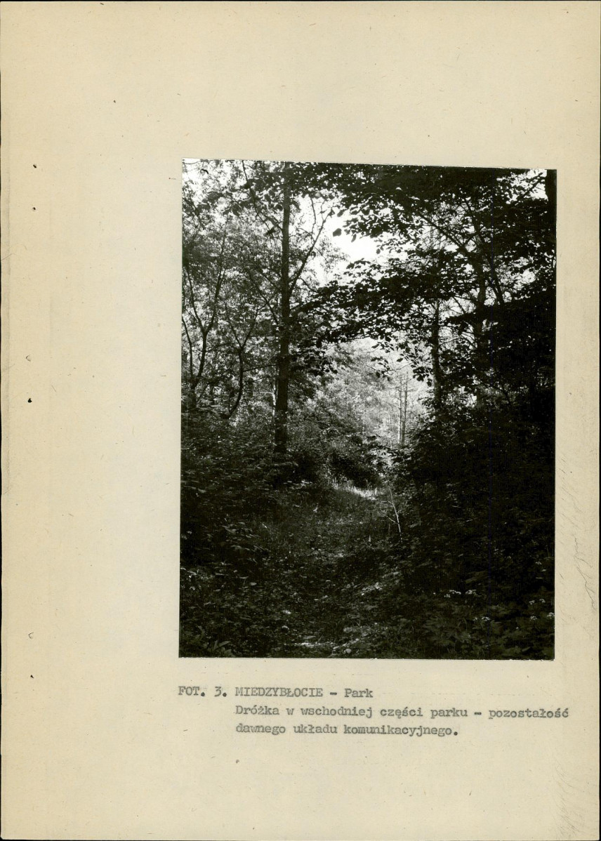Ewidencja parkowa, skan nr 18