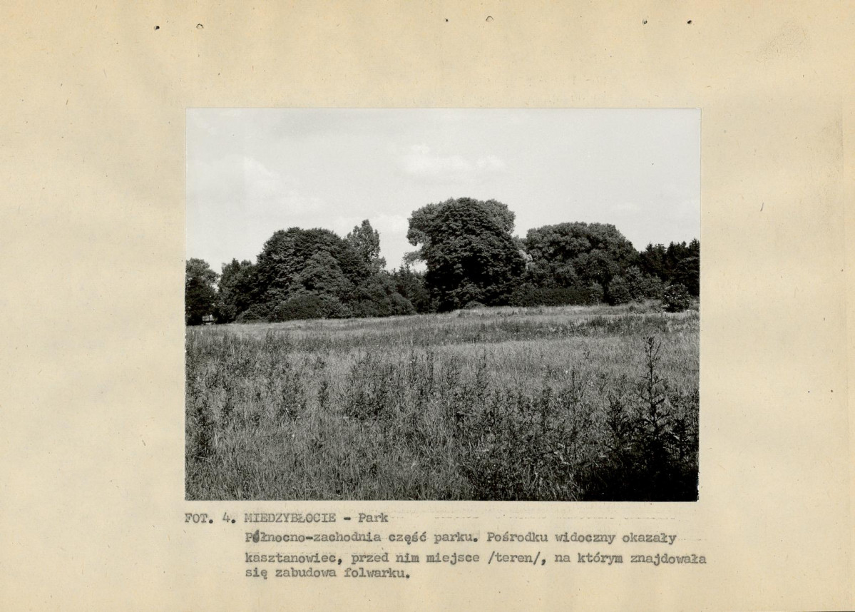 Ewidencja parkowa, skan nr 19
