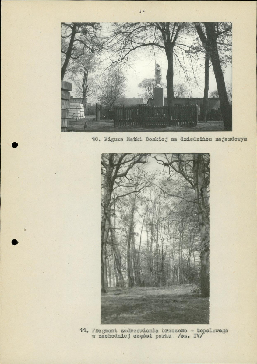 EP - Ewidencja parkowa, skan nr 36