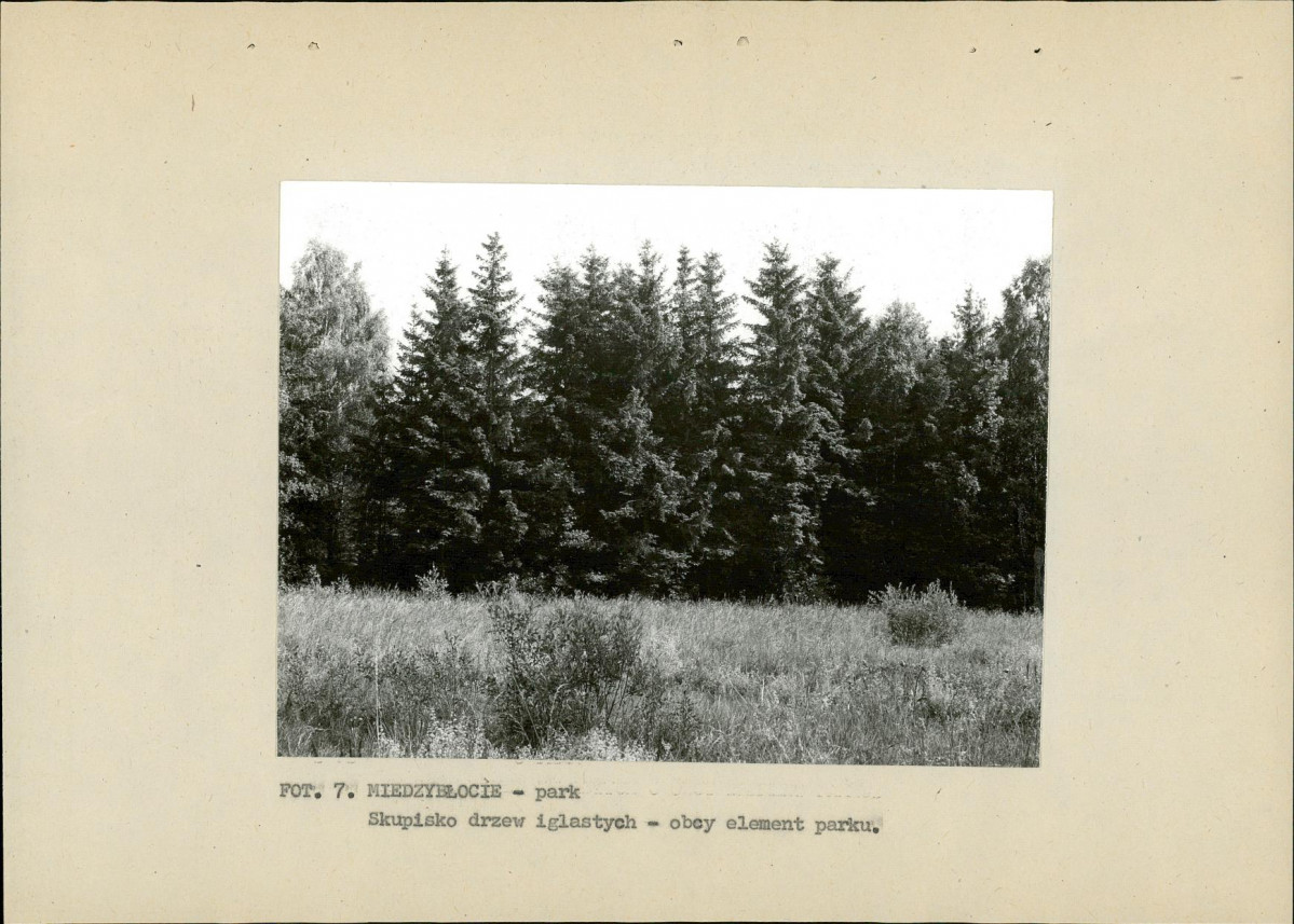 Ewidencja parkowa, skan nr 22