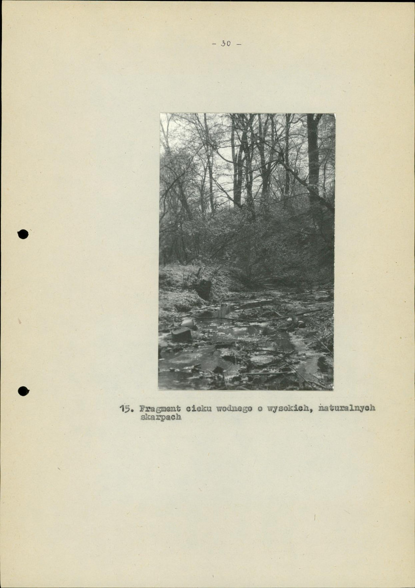 EP - Ewidencja parkowa, skan nr 39